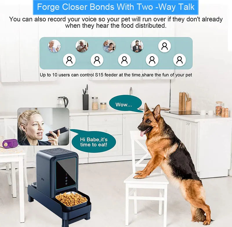 New Design Elevated 15L Large Dog Wireless Automatic Pet Feeder Double Bowls Food Cat Dispenser With Smart HD Camera Feeder