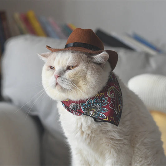 Cat Cowboy Hat Pet Bandana and Hat Set Western Cowboy Hat for Cat Dog Helmet Straw Pet Hat Pet Products Dog Accessories Cat Hat